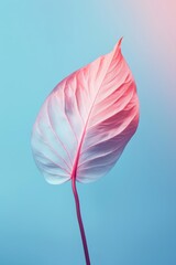 Isolated pink leaf against a gradient backdrop. Use Background for artistic design