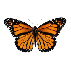 Fototapeta premium Top view of white lotus flower in full bloom symbolizing purity and spirituality. Generative Ai