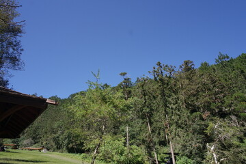 woman walking on a hill