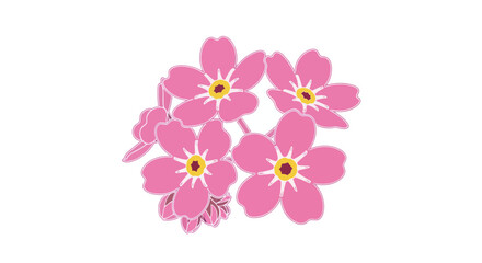 Pink flowers illustration