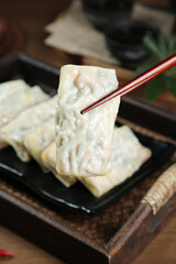 Handmade Asian Spring Rolls with Chopsticks - Fresh Vegetarian Dragon Style Pancakes on Black Plate