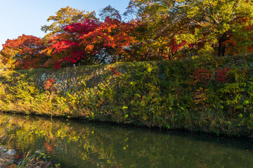 日本の風景・秋　紅葉の世界遺産　国宝姫路城