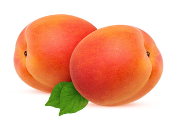 Two fresh ripe apricot with leaf