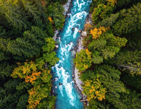 Aerial view of a turquoise river winding through a colorful autumn forest