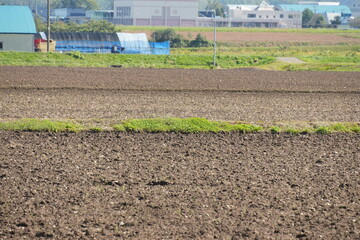 北海道の畑