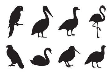 Fototapeta premium set of silhouettes of usa popular birds