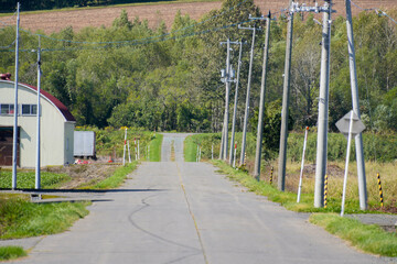 田舎の道路
