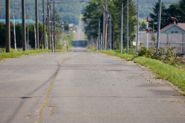 田舎の道路