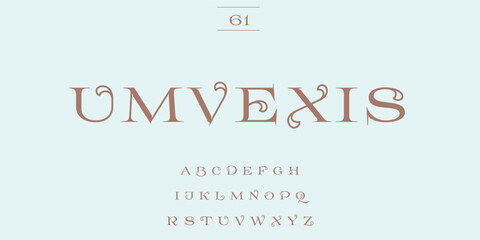 Elegant serif font with decorative flourishes and alphabet samples