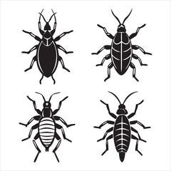 A Tiny Pear Shaped Aphid Pest, an Aphidoidea Sapsucking Insect Forming a Colony, Known for Secreting Honeydew and Being a Disease Vector Infestation