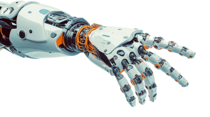 colorful flip flops isolated on white