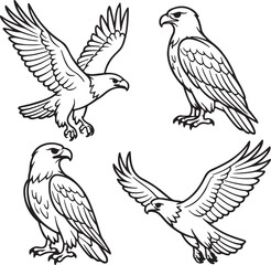 Line art eagles