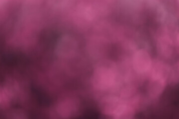 Purple background of leaves of a rare plant