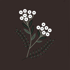 Stylized illustration of a flowering plant with white berries and dark green leaves on a dark brown background
