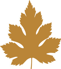 Obraz premium Simple Golden Maple Leaf Silhouette