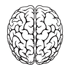 black and white silhouette of a brain vector on a white background