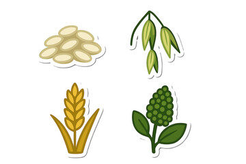 Diverse collection of agricultural crops and food ingredients such as wheat, oats, beans, and green peppercorns