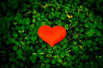 Red Heart Shape closeup