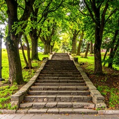 Obraz premium Stone steps ascend through a lush park, lined with towering green trees