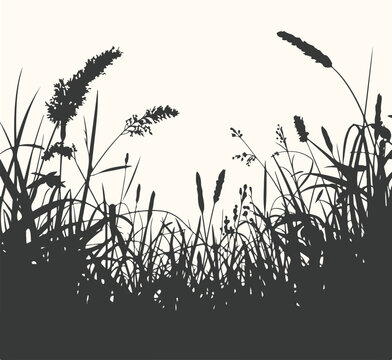 Vector art of silhouette of tall wild grass and seed heads against a light background, evoking a sense of nature and the outdoors