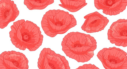 Red poppy blossom pattern, vector style with lined petals, isolated on white