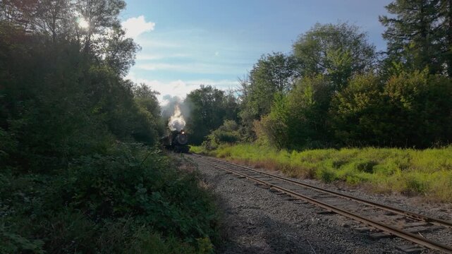 Mount Rainier Scenic Railroad