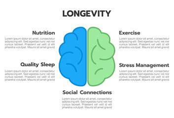 Longevity and healthy living infographic template featuring five essential lifestyle factors.