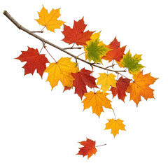 Autumn maple leaves on a branch against a black background