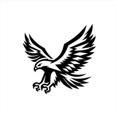 Black and white hawk or eagle in flight with wings spread wide