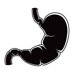 black and white silhouette of a Stomach vector on a white background