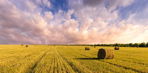 Fotobehang Honing Haystack bale on a golden field landscape at sunset. Rural agricultural scene with bales of hay. Countryside harvest concept.  © Eugene_Photo