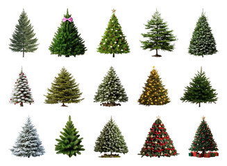 PNG Diverse festive Christmas trees collection, element set on transparent background