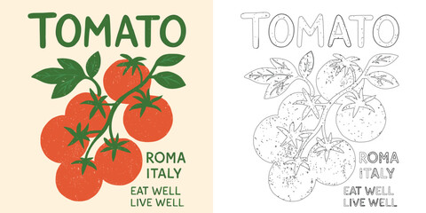 Tomato Roma Italy vector T shirt design with fresh vegetable retro organic healthy food illustration