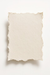 Fototapeta premium Torn paper piece with ripped edges.