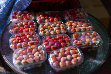 Fresh small round fruits vibrant red orange and green fill clear plastic containers neatly arranged. Each healthy fruit offers delicious natural snack perfectly packaged. plentiful harvest