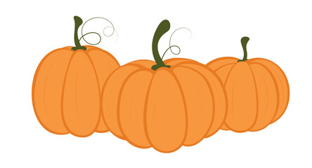Pumpkins isolated on white background. Pumpkin Day. Harvest Day. Vector illustration for design, banner, poster, invitation, advertisement, greeting card.