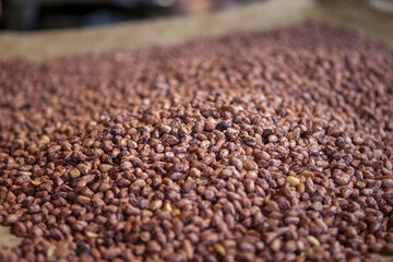 Numerous brown raw peanuts, natural agriculture harvest, spread across surface, ready for food ingredient use. Abundance of these wholesome groundnuts conveys sense of healthy nutrition and simple