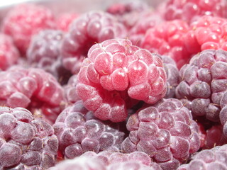 Zbliżenie na owoce maliny © Kumulugma