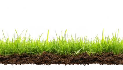 A green grass field with rich brown soil. the beauty of nature in a serene outdoor setting. ideal for gardening. landscaping. and environmental themes