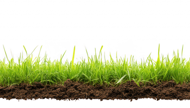 A green grass field with rich brown soil. the beauty of nature in a serene outdoor setting. ideal for gardening. landscaping. and environmental themes - Powered by Adobe