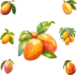 Vectors illustration of mango in color style no background 