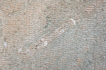 Close-up of embedded orthoceras straight shell fossil in textured rock. Ancient marine cephalopod with striated surface and beige mineral tones