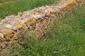 Old stone wall with moss and lichen in nature