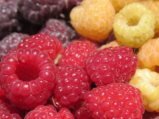 Zbliżenie na owoce maliny © Kumulugma