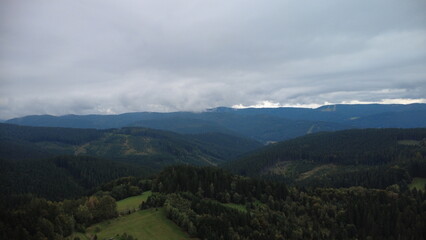 Fototapeta premium beautiful landscape in the mountains. the background is a forest