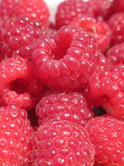 Zbliżenie na owoce maliny © Kumulugma