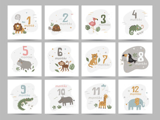 Square monthly kid's cards featuring cute safari animals.