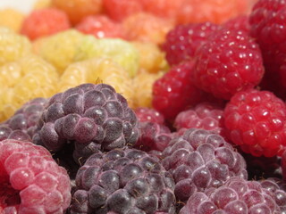 Zbliżenie na owoce maliny © Kumulugma