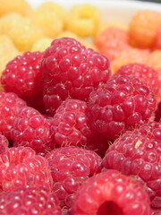 Zbliżenie na owoce maliny © Kumulugma