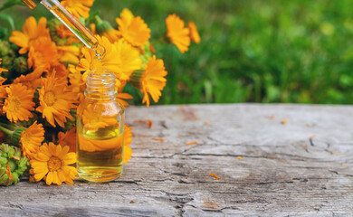 medicinal plant calendula homeopathy. Selective focus.
